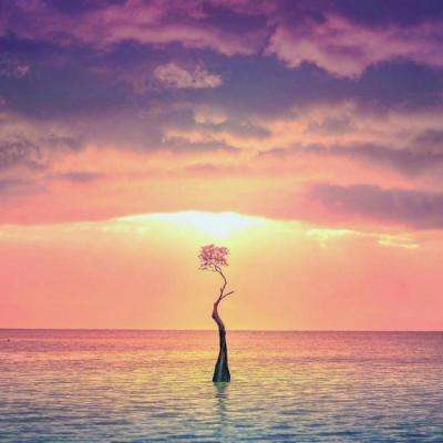 万博体育app截图